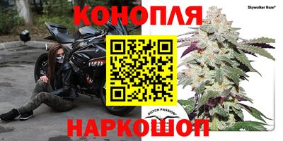 гидропоника Гагарин