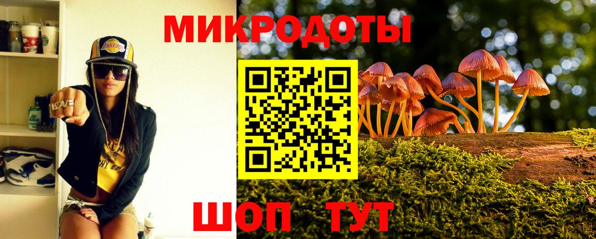 Муром  Псилоцибиновые грибы Psilocybine cubensis  Вход с VPN 
