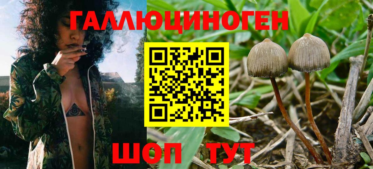 Псилоцибиновые грибы ЛСД Муром